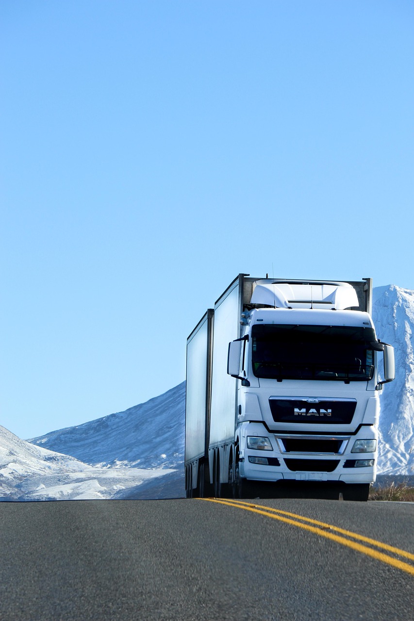 truck, road, vehicle, snow, white, blue, lorry, nature, transport, blue road, blue truck, blue snow